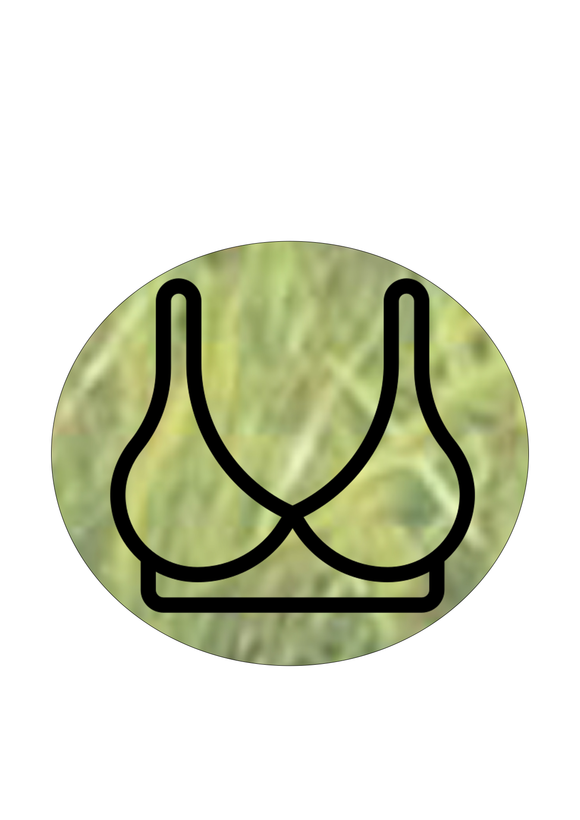 BRA COLLECTIONS