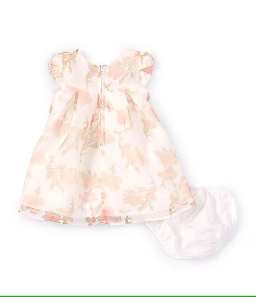 Baby Girls Newborn-24 Months Burnout Trapeze Satin Bow Dress 12191