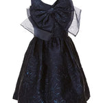 Sleeveless Floral Metallic Jacquard Fit-And-Flare DressX2-14890