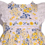 Bonnie Jean Girls 2-6X Embroidered Smocked Panel Dress 12329