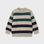 Boy Striped Sweater Ref. 14-4338-010