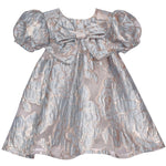 Baby Girls Floral Trapeze Party Dress B2-14550