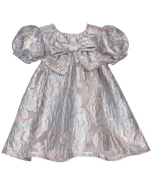 Baby Girls Floral Trapeze Party Dress B2-14550