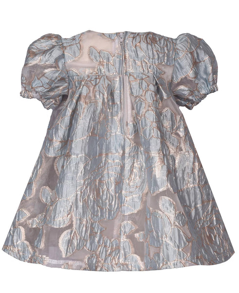 Baby Girls Floral Trapeze Party Dress B2-14550