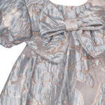 Baby Girls Floral Trapeze Party Dress B2-14550