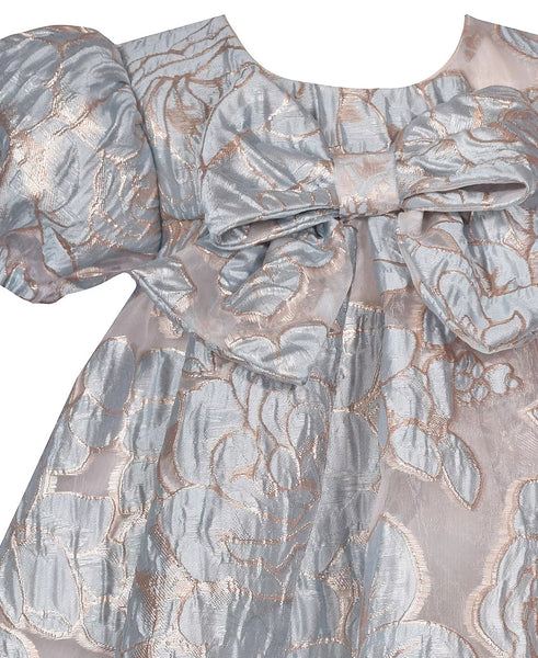 Baby Girls Floral Trapeze Party Dress B2-14550