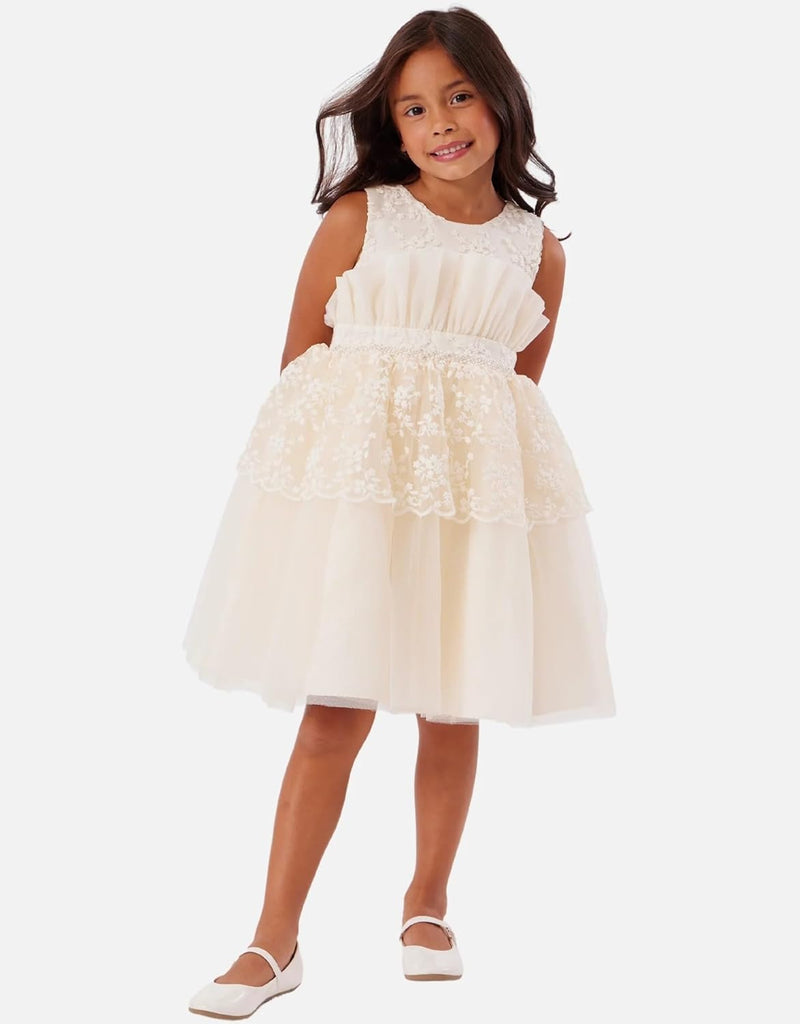 Ruffle Bodice Dress B2-12598
