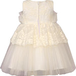 Ruffle Bodice Dress B2-12598