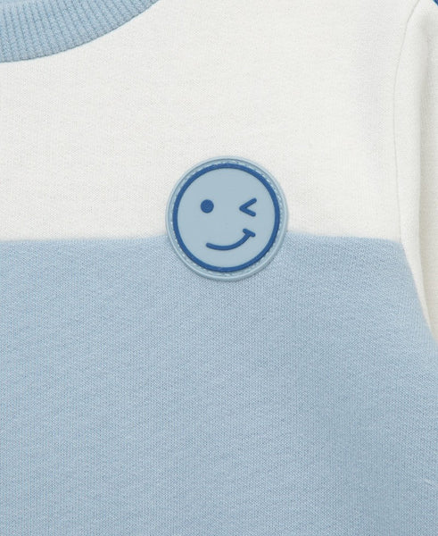 Colorblock 2-Piece Toddler Sweatshirt Set 25-16354