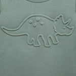 Dino Sweatshirt Set 25-16659