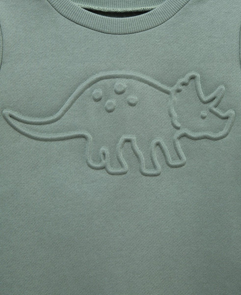 Dino Sweatshirt Set 25-16659