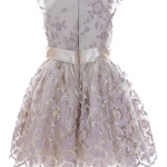 Little Girls 4T-6X Sleeveless Embroidered Ballerina Dress 11538