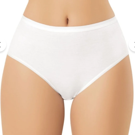 5111 (Sizes L-XL-2XL-3XL) Bamboo Underwear 3-Pack