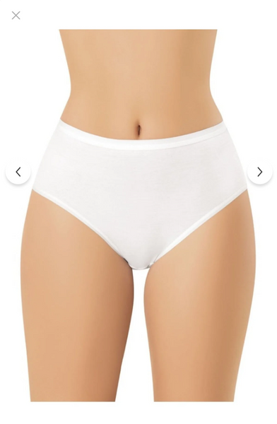5111 (Sizes L-XL-2XL-3XL) Bamboo Underwear 3-Pack