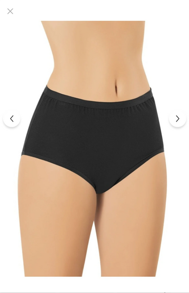 5111 (Sizes L-XL-2XL-3XL) Bamboo Underwear 3-Pack