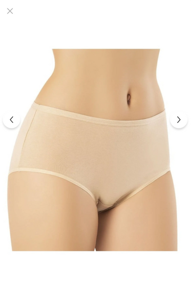 5111 (Sizes L-XL-2XL-3XL) Bamboo Underwear 3-Pack