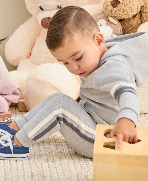 Grey Toddler Sweatshirt Hoodie Set25-16657