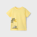 Boy 3-Piece Palm Tree Set Ref. 25-3606-091