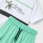 Boy Cargo Shorts and T-Shirt Set Ref. 25-3605-087
