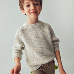 Boy Knit Sweater Ref. 15-4378-04