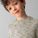Boy Knit Sweater Ref. 15-4378-04