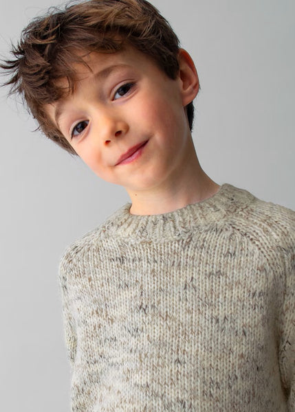 Boy Knit Sweater Ref. 15-4378-04