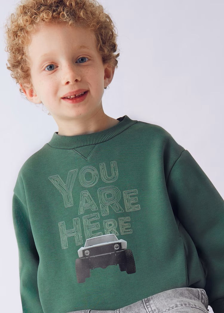 Boy Printed Sweatshirt Ref. 15-4404-35