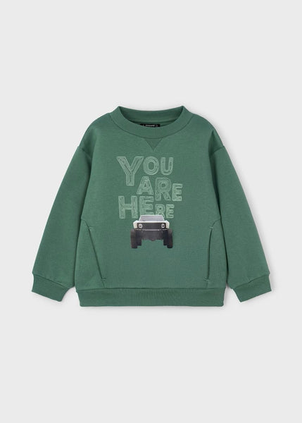 Boy Printed Sweatshirt Ref. 15-4404-35