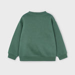 Boy Printed Sweatshirt Ref. 15-4404-35