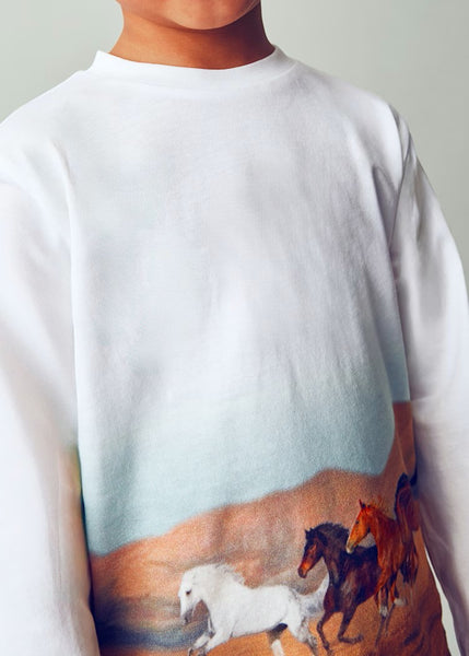 Boy Printed T-Shirt Ref. 15-4094-10