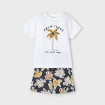 Boy Summer Shorts and T-Shirt Set Ref. 25-3604-072