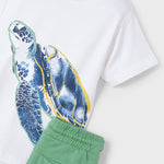 Boy Turtle T-Shirt and Shorts Set Ref. 25-3609-021