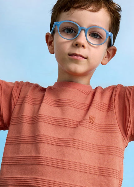 Boy's structured t-shirt Ref.  25-03028-087