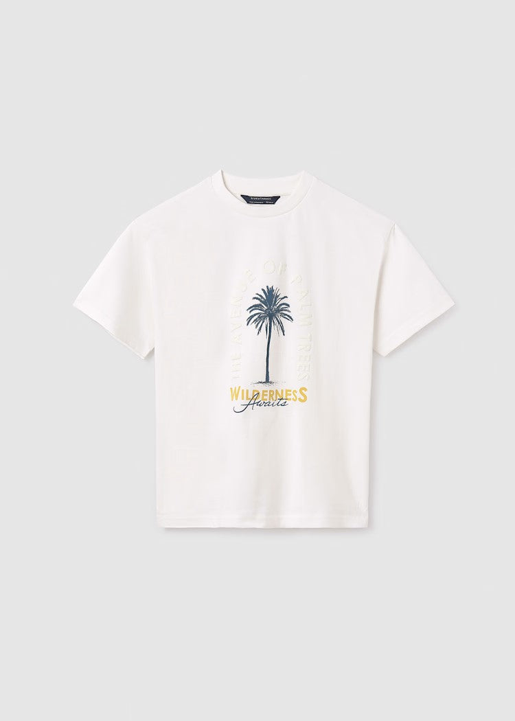 Boy's palm tree t-shirt Ref.  25-06009-010