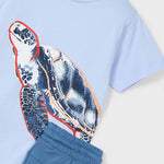 Boy Turtle T-Shirt and Shorts Set Ref. 25-3609-023