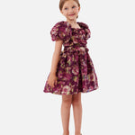 Lea Chiffon Puff Sleeve Dress 12993