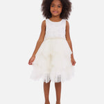 Celia Embroidered Party Dress 13335