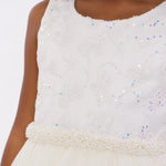Celia Embroidered Party Dress 13335