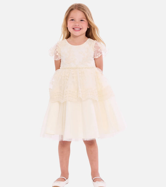 Henrietta Lace Party Dress 26-B5-14616