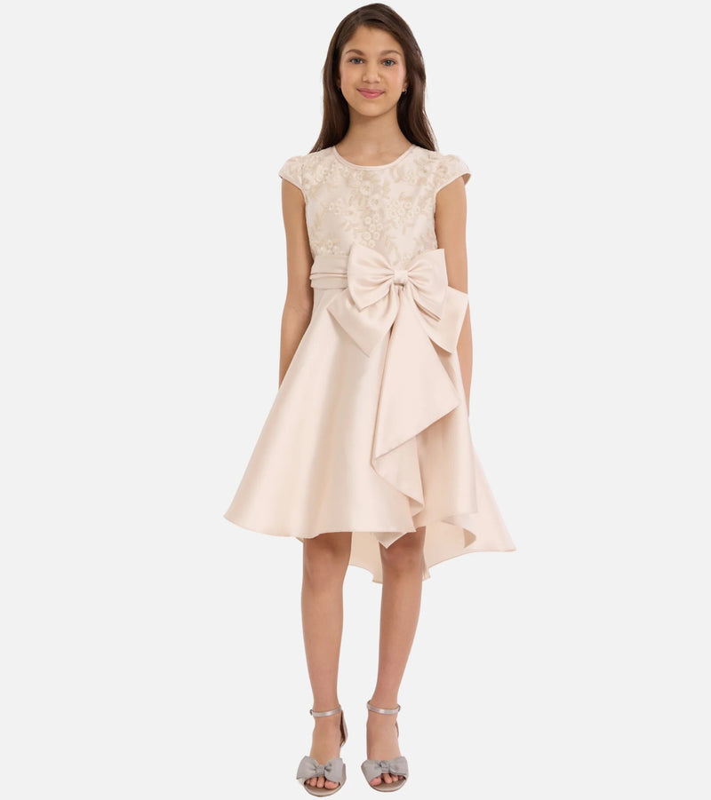 Caroline Embroidered High-low Party Dress R4-15137