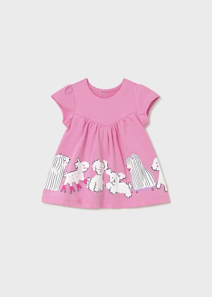 Newborn Girl Knit Dress Ref. 26-1817-33