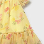 Newborn Tulle Dress Ref. 25-1850-019