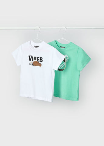 Set of 2 printed t-shirts for boys Ref.  25-03040-066