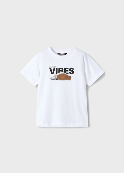 Set of 2 printed t-shirts for boys Ref.  25-03040-066