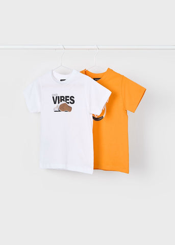 Set of 2 printed t-shirts for boys Ref.  25-03040-064