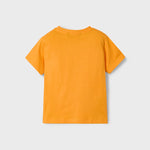 Set of 2 printed t-shirts for boys Ref.  25-03040-064
