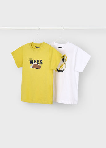 Set of 2 printed t-shirts for boys Ref.  25-03040-066