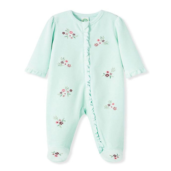 زهرة فيلور فوتي في أكوا 11229