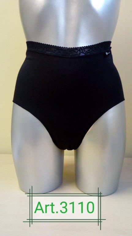 LADIES PANTY (3110)