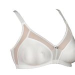 ESTELA" BRA (C/D)